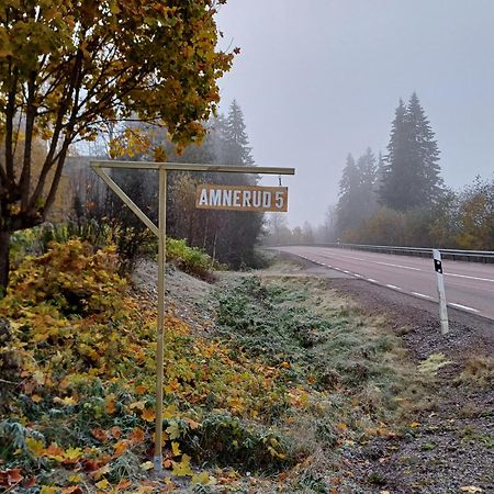 Amnerud 5别墅 外观 照片